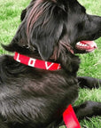 LOVE Pet Collar - Red vendor-unknown