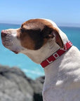 LOVE Pet Collar - Red