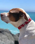 LOVE Pet Collar - Red vendor-unknown