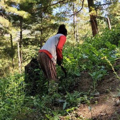 LOVE gardens now grow in Bhutan!