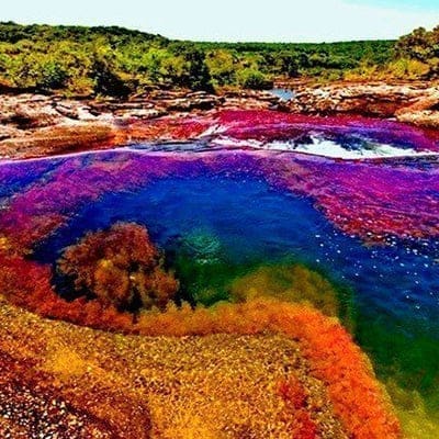 rainbow_river_91b2a425-7399-4e7e-91ab-0a88d462b9ff.jpg?v=1724871849