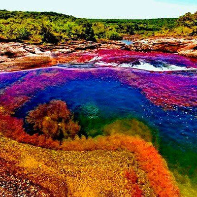 Rainbow river Colombia