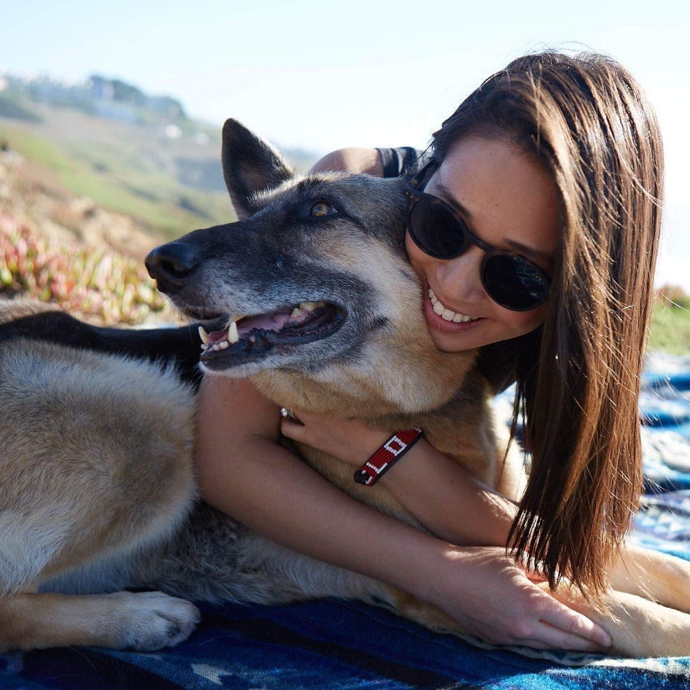 LOVE Pet Collar - Red - Love Is Project